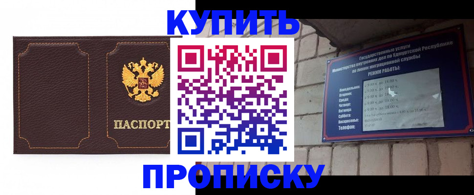 прописка поиск в Павловске